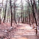 우면산 (대성사 옆) 이미지