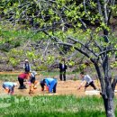 상덕마을 이미지