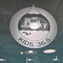 벌키키즈 36.5 수영장 | 하남 유아수영 벌키키즈36.5 미취학 5세 여아 만족하며 보내는 중!(주1회에서 주2회로 변경, 어린이집...