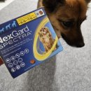 연희우리약국 이미지