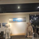 마리나부페 | 부산(센텀) 마리나 뷔페 블루키친 ㅣ 부산 바다를 담은 한 끼, 마리나 뷔페 블루키친 평일 저녁 후기