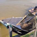 남창낚시터 이미지