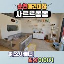 사르르몽몽 | 순천애견미용 어디로 갈지 고민이라면?애견미용 추천!! 사르르몽몽/위생목욕+스파 찐 후기/내돈내산