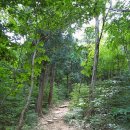 숲속의 통나무집 이미지