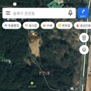 배선생