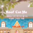 고양이카페 루프캣미 명동점 이미지