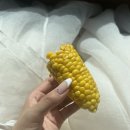 케이살롱(K-SALON) 네이버블로그