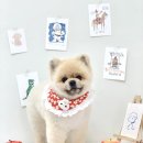 변신하개 이미지