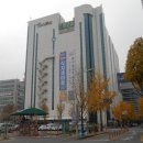 부일로 이미지