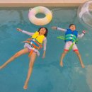 제주돌집 한동두동 이미지