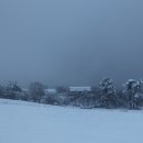 대산목장 이미지