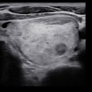 서울으뜸내과의원 이미지