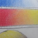 색연필 일러스트(초급) 이미지