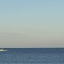 고릴라 복싱 이미지