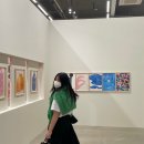 보리피그