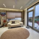 스테이 도채비꽃 이미지