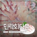 [부산 광안리 횟집] 민락회타운 3kg 능성어 회와 초장집 사랑해횟집 아쉬운 솔직후기
