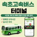 속초고속버스터미널 이미지