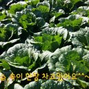 등너머농장 이미지