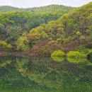 마리네 민박 이미지