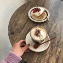 카페살뤼 이미지