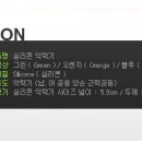 바디실크