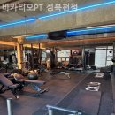 바카티오PT 성북천점 이미지