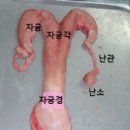 조광현축산 네이버블로그