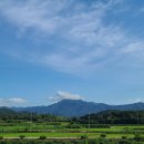 매천공인중개사사무소 이미지