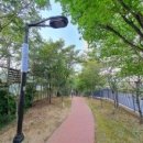 에코 153 이미지