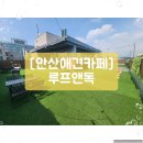루프앤독 | [안산 애견카페]&#39;루프앤독&#39; (내돈내산)