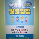 청소년수련관 | 용인시청소년수련관 용인시청 수영장 자유수영 후기