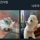행복해 이미지