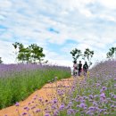 병방산군립공원 이미지