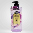 레몬향데이지 이미지