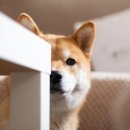 대영정형외과의원 이미지