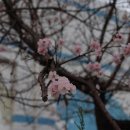 우리좋은날 이미지