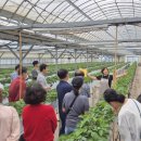 철원군농업기술센터 이미지