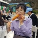 가자하얀민박 네이버블로그