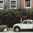 전주행정사 이미지