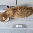 (주)모카 이미지