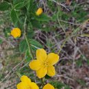 서창선초등학교 이미지