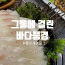 그물에걸린바다풍경 이미지