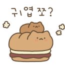 아이쿠키유 이미지