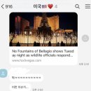 [미국 여행] 9일차 라스베가스, 더 코스모폴리탄 호텔 룸 업그레이드 (테라스 스위트룸) l 스피어...