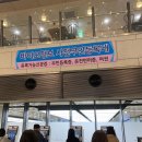 제주도 3박 4일 봄여행코스 (feat. 유채꽃, 우도) / 제주도맛집, 카페, 관광지