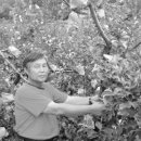 바리실마을 이미지