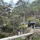 통나무 민박 | 안동 가볼만한곳 당일치기 여행 다녀왔어요(만휴정,하회마을,밀레니엄찜닭,월영교)