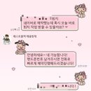 대전 벌레퇴치 패스트블랙 충청지사 내돈내산 후기