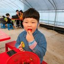 범준농장 이미지